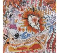 Wooden Wand and the Vanishing Voice – Flood – CD