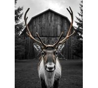 Woodland Reindeer Notebook: A Rustic Winter Journal for Writing, Ideas & Creative Inspiration