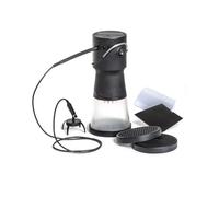 Woodland Scenics FS639 Static King