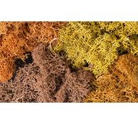 Woodland Scenics L165 Herbstmix