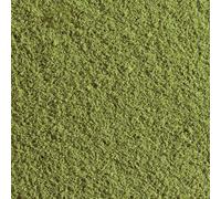 Woodland Scenics Flocage prairie WT45 Vert été 50 g