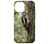 Woodpecker Arbre Bark Wildlife Bird Forest Scene Coque pour iPhone 12 Pro Max