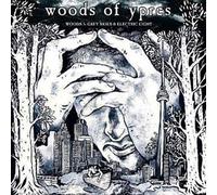 Woods 5 Grey Skies And Electric