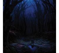 Woods of Desolation - Torn Beyond Reason (Marbled Vinyl) (Reissue)