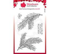 Woodware Transparent, Encreur Pine Branch-Tampon en Photopolymère, Socle en Acrylique-Accessoire pour Carterie, Scrapbooking, Journal, Loisirs, A6