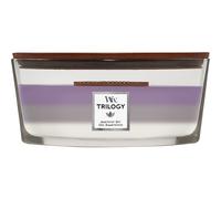 WoodWick Bougie parfumée Ellipse Trilogy Mèche crépitante Jusqu'à 50 heures Ciel d'Améthyste
