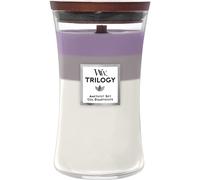 WoodWick Bougie parfumée mèche en bois Trilogy Améthyste Sky 609.5 g