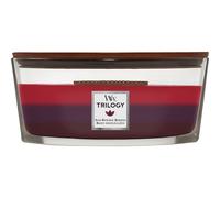 WoodWick Parfums-dambiance Bougies-parfumeesBaies striées de soleil Ellipse Jar 454 g