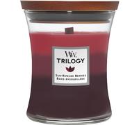 WoodWick Parfums-dambiance Bougies-parfumeesBaies striées de soleil Pot moyen 275 g