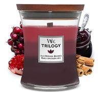 WoodWick Bougie jarre moyenne parfumée Trilogy – mèche Pluswick – Baies ensoleillées