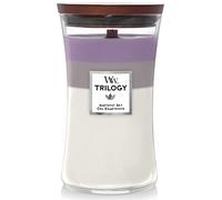 WoodWick Parfums-dambiance Bougies-parfumeesAméthyste Sky Grand pot 610 g