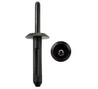 Woodzdon Lot de 50 rivets aveugles en nylon de 6,35 mm pour Jeep Wrangler Liberty GM 10184895 pour Chrysler 6506007-AA pour Ford N803862-S Clip d'extension en plastique