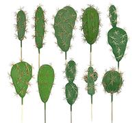 Woohome 10 PCS Plantes Succulentes Artificielles Mixtes Faux Cactus Artificielle Cactus pour Lotus Paysage décoratif Arrangement de Jardin Décor