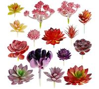 Woohome 15 PCS Faux Plante Succulente Succulentes Artificielles Décoratives Mixte Artificielles Plantes Succulentes pour Maison Décoration de Jardin Intérieur