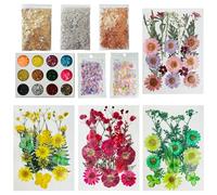 Woohome 64 PCS Bricolage Fleurs Séchées Ensemble Feuilles Naturelles Pressées à Sec, Gold Leaf Gold Foil Paper, Sequins, Fleurs Sechees Naturelles pour L'artisanat d'art de Bricolage