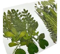 Woohome 69 PCS Bricolage Fleurs Séchées Ensemble Feuilles Naturelles Pressées à Sec, Fleurs Pressées Séchées Fleurs Sechees Naturelles pour L'artisanat d'art de Bricolage
