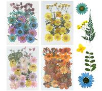 Woohome Fleurs Séchées Pressées, 110 PCS Bricolage Fleurs Séchées Ensemble, Fleurs Pressées Séchées Fleurs Sechees Naturelles pour L'artisanat d'art de Bricolage, Les Bijoux en Résine Epoxy
