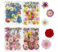 Woohome Fleurs Séchées Pressées, 160 PCS Bricolage Fleurs Séchées Ensemble, Fleurs Pressées Séchées Fleurs Sechees Naturelles pour L'artisanat d'art de Bricolage, Les Bijoux en Résine Epoxy