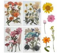 Woohome Fleurs Séchées Pressées, 60 PCS Bricolage Fleurs Séchées Ensemble, Fleurs Pressées Séchées Fleurs Sechees Naturelles pour L'artisanat d'art de Bricolage, Les Bijoux en Résine Epoxy