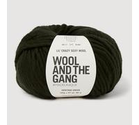 Wool and the Gang Lil' Crazy Sexy Laine Vert patrimoine 100 g
