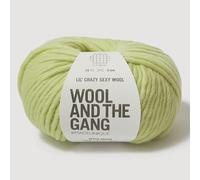Wool and the Gang Lil' Crazy Sexy Laine Vert pomme 100 g