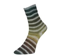 Woolly Hugs Veronika Hug Paint Socks Lot de 2 chaussettes identiques en tricot 4 brins, 100 g/420 m, 75% laine vierge, 25% polyamide, 2 chaussettes identiques (206 gris, vert)
