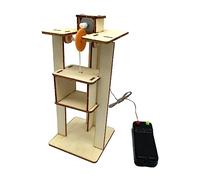 WOONEKY 1 Ensemble Éducatif DIY Ascenseur Bois pour Garçon Fille Kit de Modèle Ascenseur à Assembler Activité Manuelle Amusante pour Développer Les Compétences Observation et Analyse des