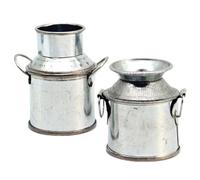 WOONEKY 2 Pièces Miniature Pichet Lait Seau Décoratif pour Maison de Poupée Accessoire Jardinage Miniature Éducatif Créatif