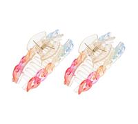 WOONEKY 2pièces Acrylic Hair Clips Non- Hairpins for Girls Rainbow Hair Accessories for Chic Hairstyles