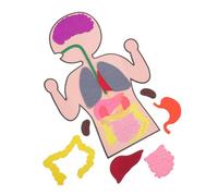 WOONEKY 3 Ensembles Kit Éducatif Organes Humains et Non Tissé DIY Créatif pour Garçon Fille Développe Imagination Motricité et Patience