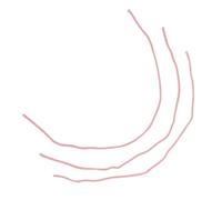 WOONEKY 3 Pièces Corde Magicien Accessoires Corde De Scène La Corde Rigide Accessoires De Câble À Trois Cordes Tours D'Illusion De Corde Corde De Gros Plan Fil De