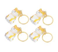 WOONEKY 4 pièces Boîte Transparente pour Poils Danimaux Porte Clés Charm Collection Poils de Chien ou Chat Rangement Sentimental et Souvenir Personnel