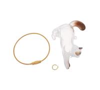 WOONEKY Boîte de Rangement Transparent pour Poils Animaux Porte-clés Capsule Chat Souvenir Collecteur Manuel pour Poils de Chaton Chien Chiot et Petits Animaux Coffret Mémoire Compact et
