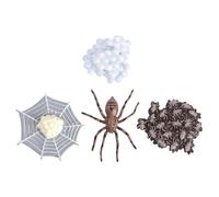 WOONEKY Jouets Modèle Évolution Animale Décoration De Fête pour Garçon Fille Outil Pédagogique