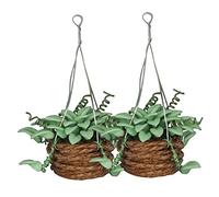 WOONEKY Lot De 2 Mini-Pots De pour Décoration De Maison De Poupée Plantes D'Intérieur Mini-Pots De Cactus Mini- Artisanal Mini-Pot De en Résine Verte