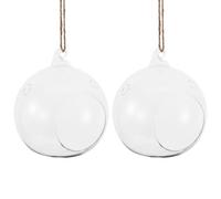 WOONEKY Lot de 2 Terrarium Suspendu en Verre - Vase Boule Suspendu pour Plantes succulentes - Globe en Verre à Suspendre - Mini Cache-Pot décoratif - Usage intérieur