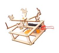 WOONEKY Manège Éducatif à Soi-Même pour Garçon et Filles Jouet Scientifique de Bricolage Stimulez L'Imagination Facile à Assembler 1 Ensemble