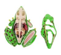 WOONEKY Modèle Anatomique de Éducatif pour Garçon Fille Kit de Dissection Réutilisable Pédagogique Stem pour et Classe de