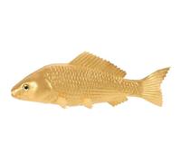 WOONEKY Modèle de Poisson Artificiel Éducatif pour Garçon et Filles Figurines Réalistes en Polyuréthane Jouet Marin Décoration de Jeu Apprentissage Classification Animale 10 Pièces