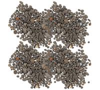 WOONEKY Pierres Décoratives Naturelles de Rivière 50 G pour Aquarium Mini Paysage et Décor de Jardin Matériau de Micro-Aménagement Paysager Réaliste Galets pour Pots de Fleurs et