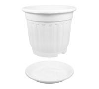 WOONEKY Porte-Fleurs Colonne Romaine Blanc PP Léger pour Succulentes