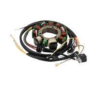 WOOSTAR 10 Bobine 12 Fils Magnéto stator Remplacement pour Polaris 1998-2000 Sportsman 500 ATV 4x4 Carb OEM 3085561 3086821