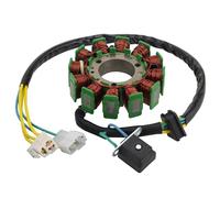 WOOSTAR 12 Bobine Magnéto Stator Remplacement pour Hyosung GT125 GT250 GV125 GV250 GV125R GV250R Pocket Bike Cruiser Motorcycle 2002-2010 Moteur