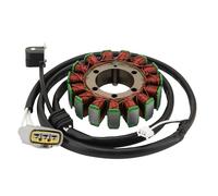 WOOSTAR 15 Bobines 5 Fils Magnéto Stator Remplacement pour 2007-2015 YFM 700 Grizzly OEM 3B4-81410-00-00 28P-81410-00-00
