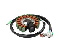 WOOSTAR 16 Bobines 6 Fils Magnéto Stator Remplacement pour TW200 2001-2017 TW125 1999-2004 TW225 2002-2007 OEM 4WP-85510-10
