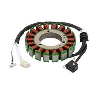 WOOSTAR 18 Bobine 5 Fils Magnéto Stator Remplacement pour 2000-2003 XVS1100 VStar Classic 1100 Custom 1100 BT1100 Bulldog Xvs1100 Vstar OEM 5EL-81410-00 5EL-81410-01 5JN-81410-10