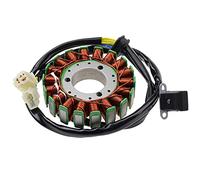 WOOSTAR 18 Bobine Magnéto Stator Remplacement pour Hyosung GT650R GT650 GT650X V2S650 V2C650R GV650 Cruiser Pocket Bike