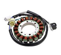 WOOSTAR 18 Bobine Magnéto Stator Remplacement pour Warrior 350 YFM350 Raptor 350 YFM350 Wolverine 350 YFM350 Big Bear 400 YFM400 ATV 2002-2004 Moteur