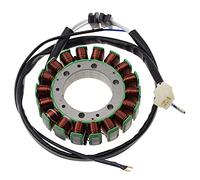 WOOSTAR 18 Bobine Magnéto Stator Remplacement pour XV1100 1986-1999 XV700 XV750 Moteur OEM 1TA-81410-20 4PP-81410-00 1RM-81410-20
