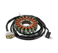WOOSTAR 18 Bobines 3 Fils Magnéto Stator Remplacement pour 2016-2018 YFM700 YFM700FWA YFM700FWB YFM700FWAD Grizzly 700 EPS Hunter Special OEM B16-H1410-00